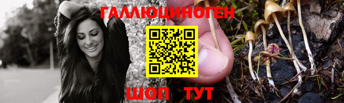 Чусовой  Галлюциногенные грибы мухоморы  Вход с VPN 